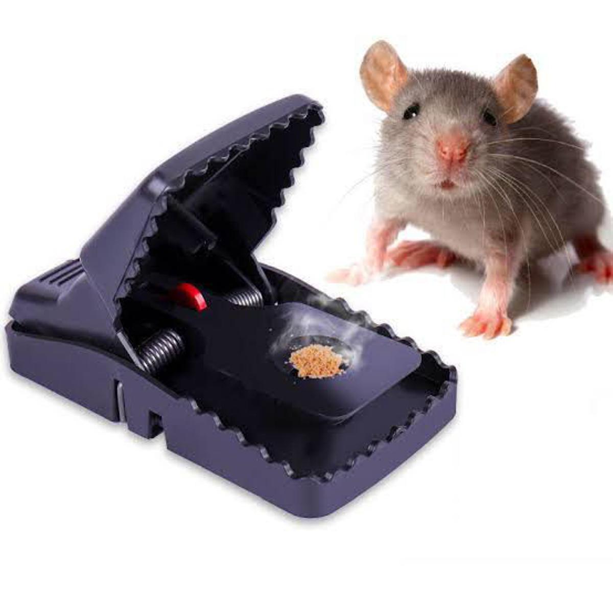 Heavy Duty Plastic Mouse Trap